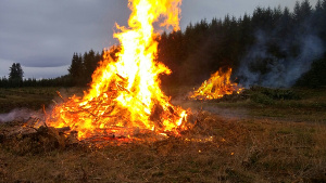 pileburn